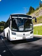 Bus LiPU especializado en transporte turístico