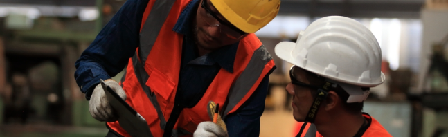 Operarios en planta cumpliendo sus funciones 