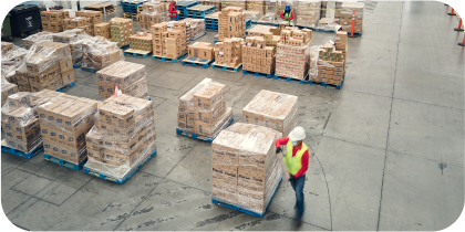 Operarios en bodega, organizando mercancia  